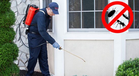 Niğde Kemirgen İlaçlama böcek ilaçlama ve haşere kontrolü — ilaclama-tr.com